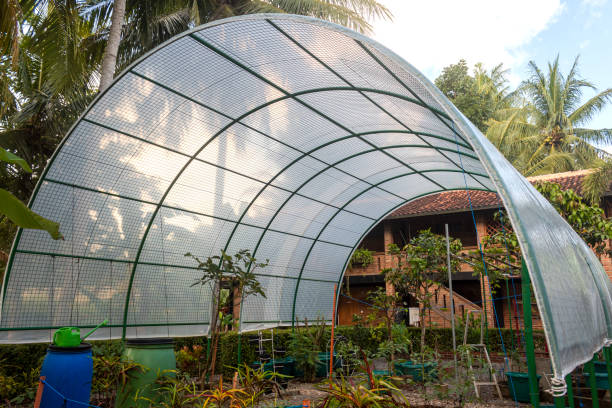 greenhouse polyethylene tunnels in private garden