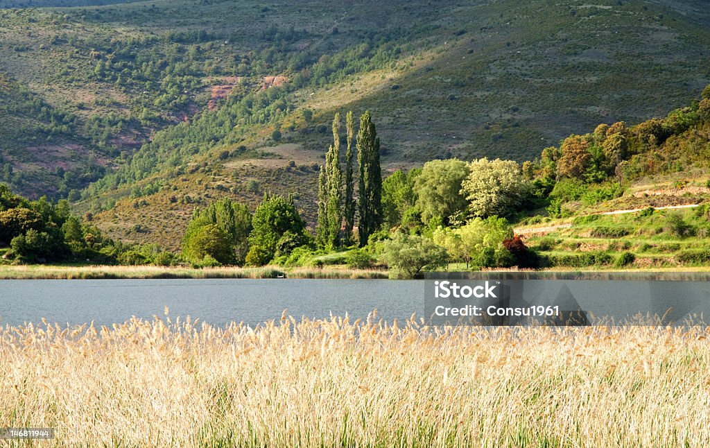 Lago de Montcortès - Foto de stock de Aire libre libre de derechos