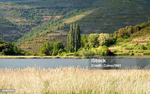 Lago De Montcortès Foto de stock y más banco de imágenes de Aire libre - Aire libre, Arbolado, Azul