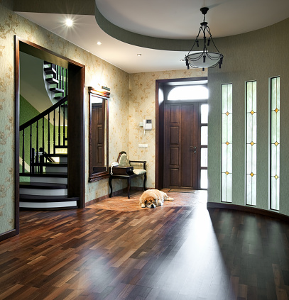 Interior of entrance hall in a new house with sleeping dog