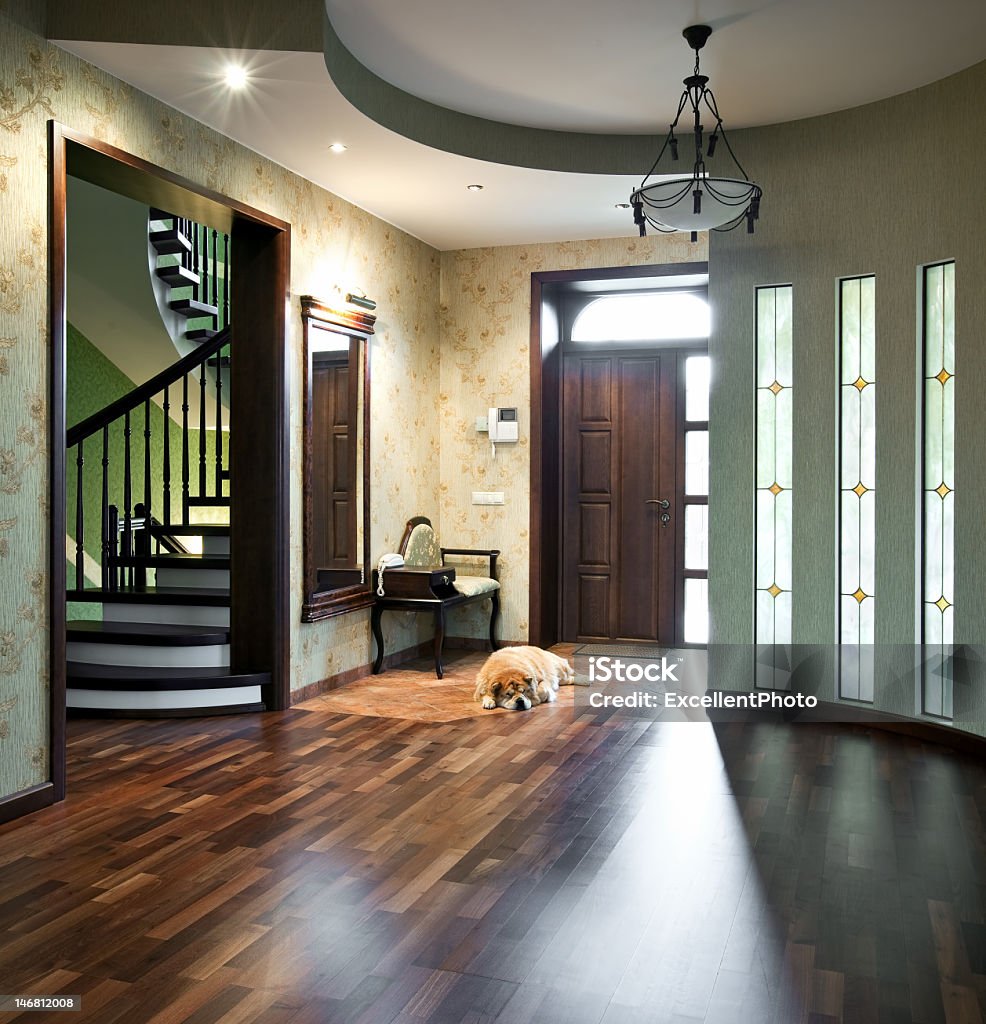 Interior of a beautiful home with a sleeping dog Interior of entrance hall in a new house with sleeping dog Dog Stock Photo