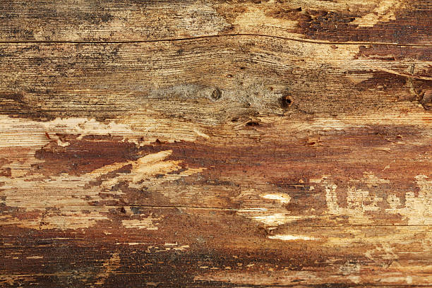 Wood texture stock photo