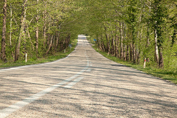 road & nature stock photo