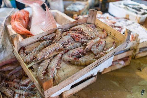 View of prawns in sales in central fish market.