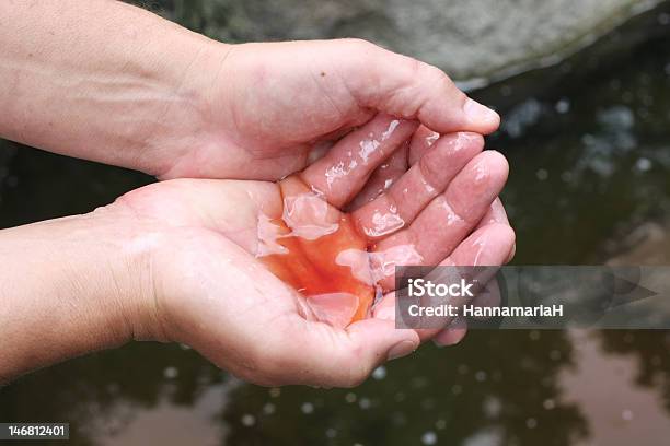 Oil Spill Konzept Stockfoto und mehr Bilder von Eingießen - Eingießen, Erdöl, Erwachsene Person