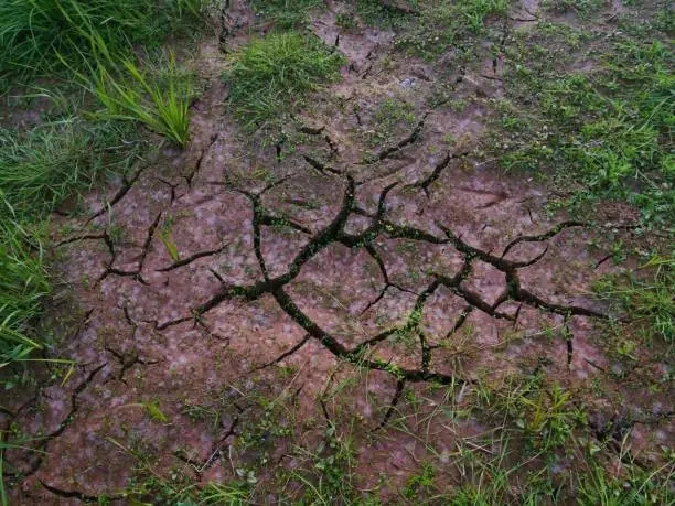 A barren landscape featuring a cracked and barren earth with large crevices running through the grass and a lush green field in the background