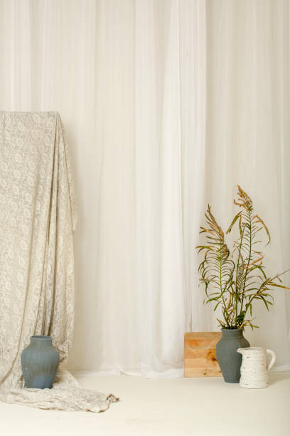 White curtain background with pots and a plant stock photo