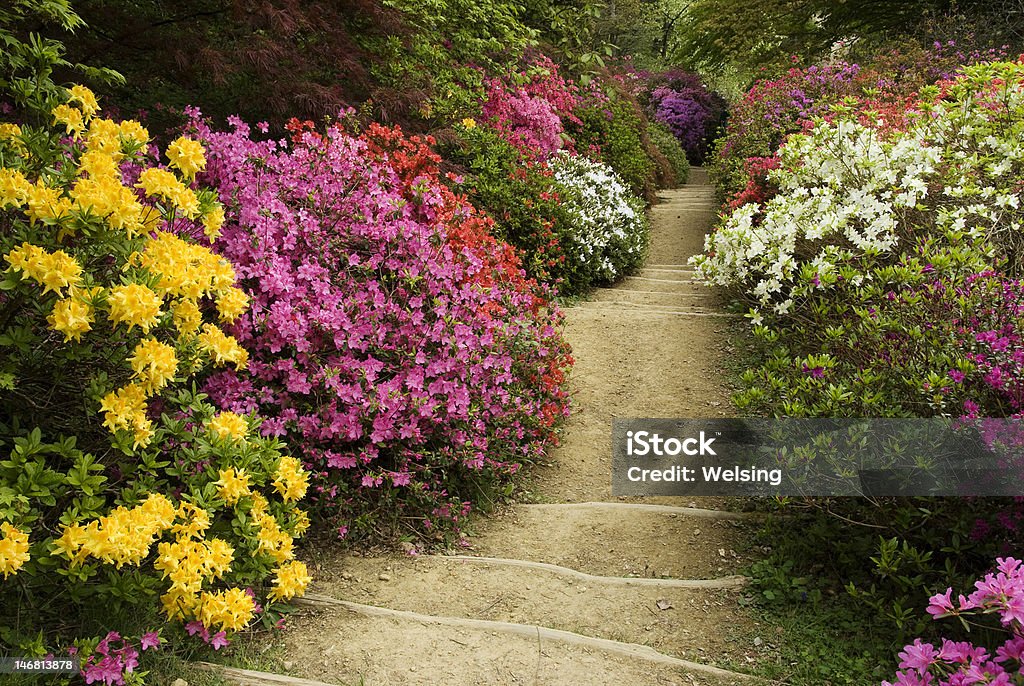 Blume Weg zu geben - Lizenzfrei Arboretum Stock-Foto