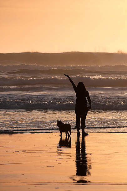 istock Girl at beach during sunset 146813882