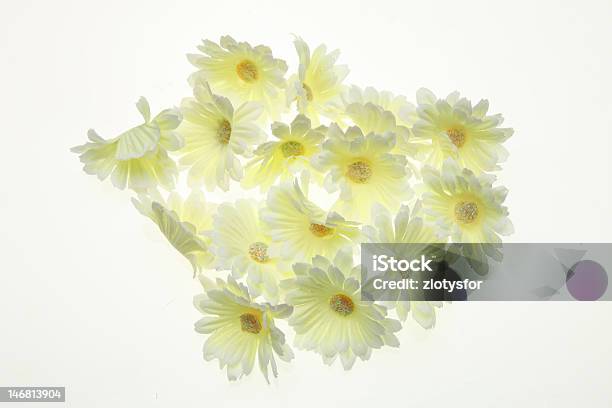 Camomile Stock Photo - Download Image Now - Chamomile, Chamomile Plant, Cut Out