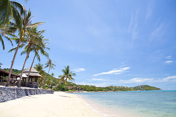istock beautiful tropical seascape 146814144