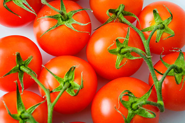 red tomato stock photo