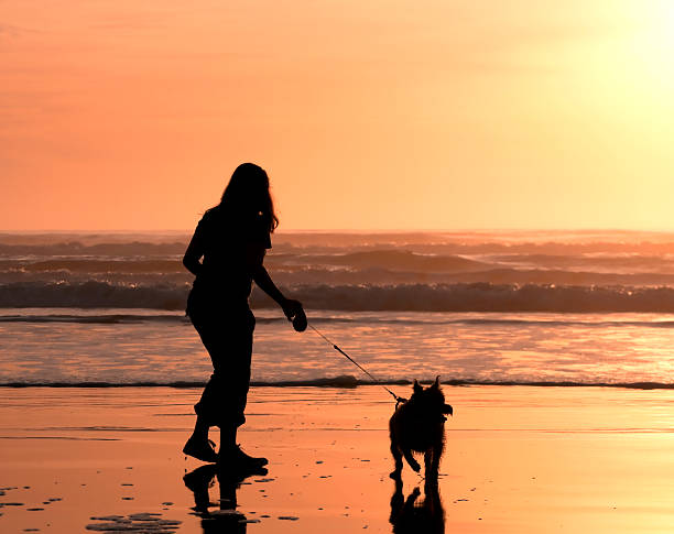 istock Girl and her Dog 146814814