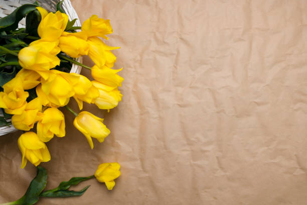 Yellow tulips in a white wicker basket on a light retro background with space for a copy. Yellow spring flowers on craft paper, a bouquet of tulips. Mother's Day Gift, March 8, Birthday