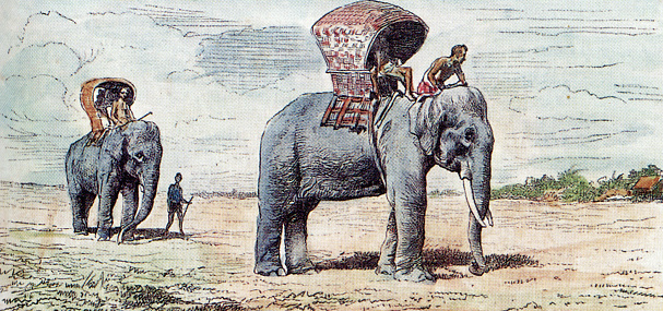Laotian elephants with their howdahs; sketch by Eugene Beurnand (c.1882)
