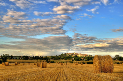 hay bales in a field in France