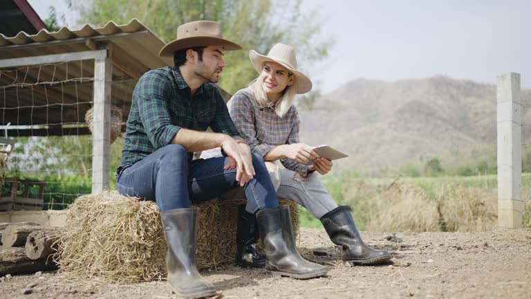 Romantic couple in the farm.