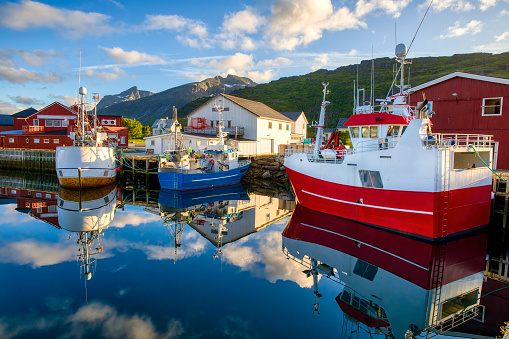 Fishing boats on a calm evening at the small harbor of Fredvang on Moskenes Island in Lofoten, Norway