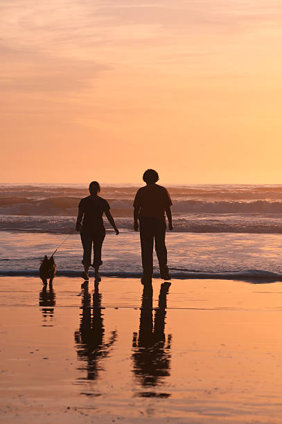 istock Brother and Sister 146815177