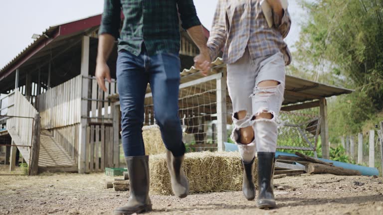 Romantic couple in the farm.