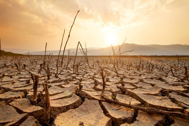 seca impacto - drought scarcity desert dry - fotografias e filmes do acervo