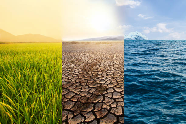 temperatura mondiale e cambiamenti climatici - cambiamenti climatici foto e immagini stock