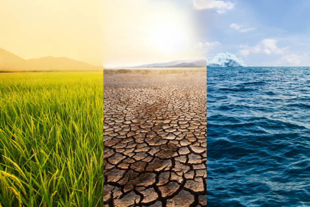 World temperature and Climate change Agriculture fields and Dry lake and Ocean at north pole metaphor temperature increase and Climate change. water crisis stock pictures, royalty-free photos & images