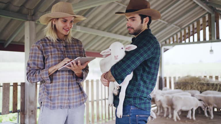 Romantic couple in the farm.