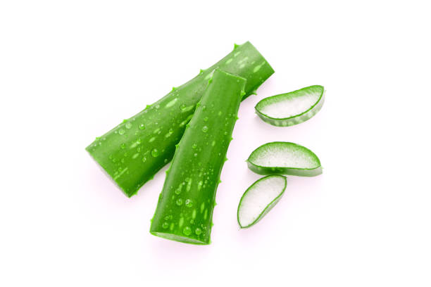 istock Green aloe vera leaves has water drop and slice on white background. 1468155957