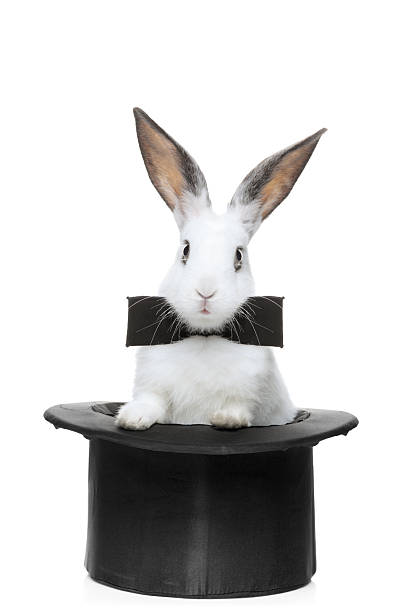 istock View of a rabbit with bow tie 146815867