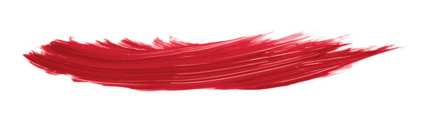 istock Ruddy brush isolated on white background, red brush Scarlet Sage 1468161720