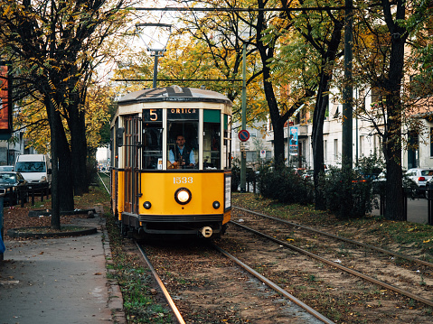 Old yellow tram in Milan. Tram in the city under trees in autumn.
