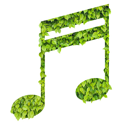 tree leaves music note - concept of bioenergy