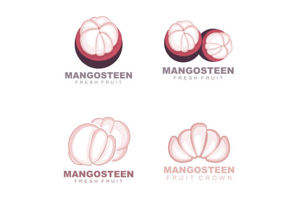 logo mangosteen, ilustracja mangosteen flesh, witamina bogata w owoce królowa, logo owocowe vector label template design - strawberry mangosteen agriculture banana stock illustrations