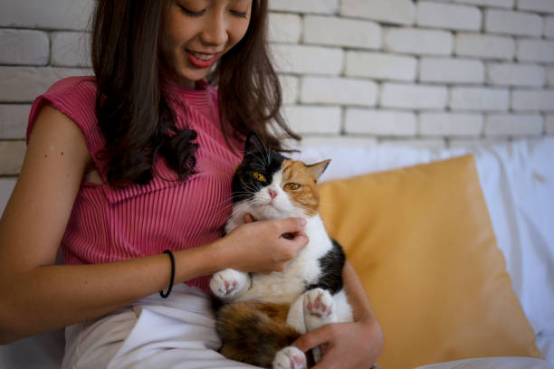 istock Young woman stay at home with cat. 1468162618