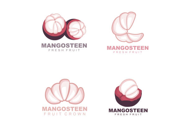 logo mangosteen, ilustracja mangosteen flesh, witamina bogata w owoce królowa, logo owocowe vector label template design - strawberry mangosteen agriculture banana stock illustrations