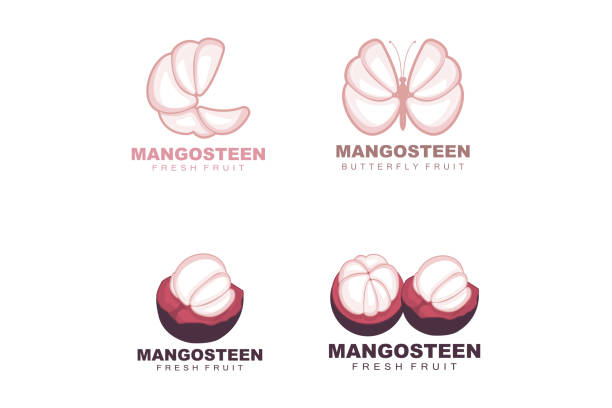 logo mangosteen, ilustracja mangosteen flesh, witamina bogata w owoce królowa, logo owocowe vector label template design - strawberry mangosteen agriculture banana stock illustrations