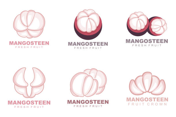 logo mangosteen, ilustracja mangosteen flesh, witamina bogata w owoce królowa, logo owocowe vector label template design - strawberry mangosteen agriculture banana stock illustrations