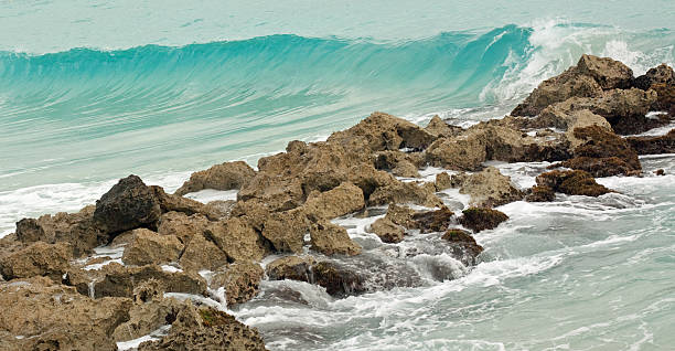 Onda de Barbados - foto de acervo