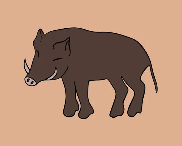 Vector illustration of A wild boar.