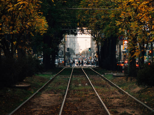 istock A corridor made of trees in the city 1468165868