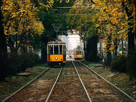 Old yellow trams in Milan, Italy. A corridor of trees in the city.