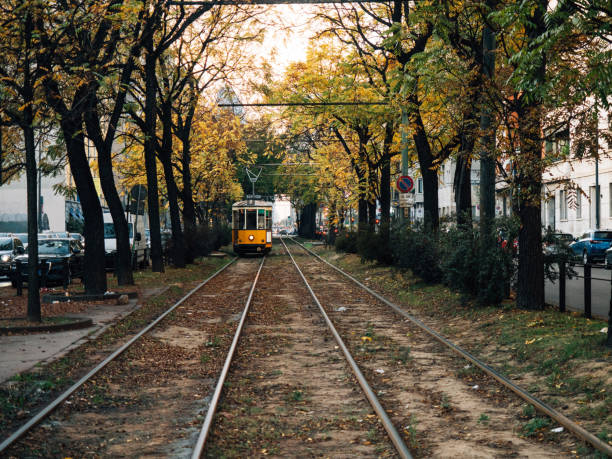 istock Old yellow trams in Milan, Italy 1468165873