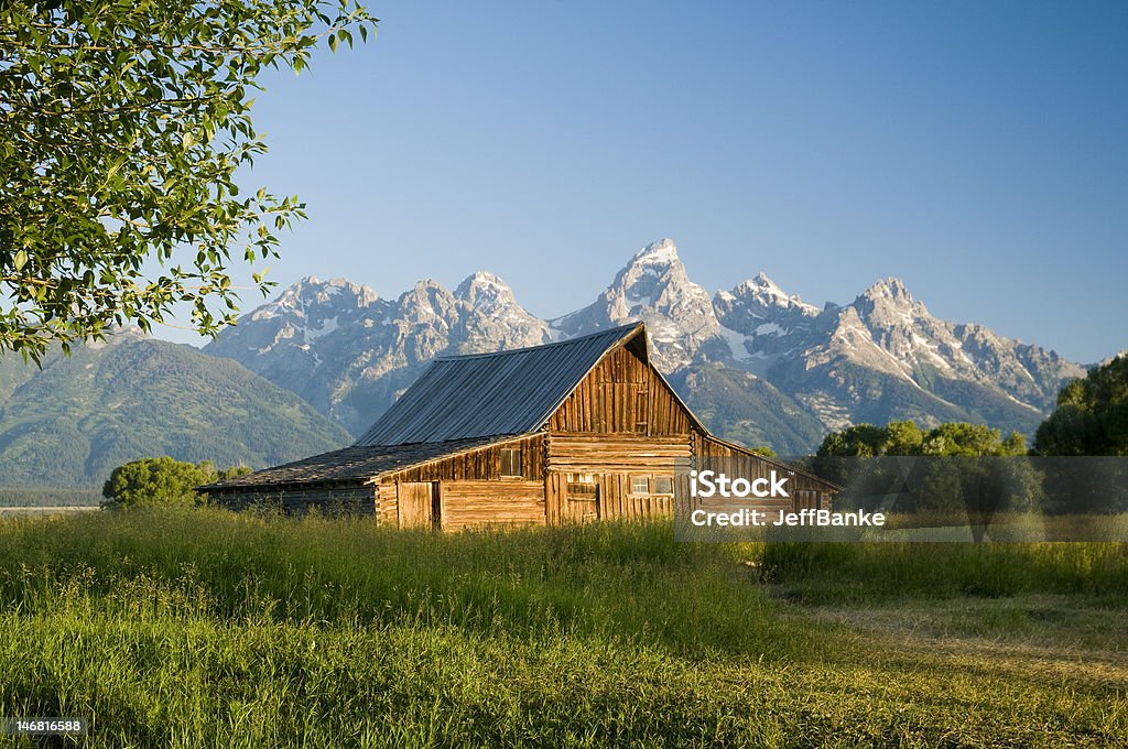 Establo de Moulton - Foto de stock de Agricultura libre de derechos