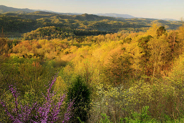 istock spring morning smoky mountains 146816806