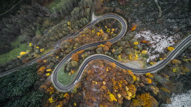 Aerial View of winding road amidst autumn trees
