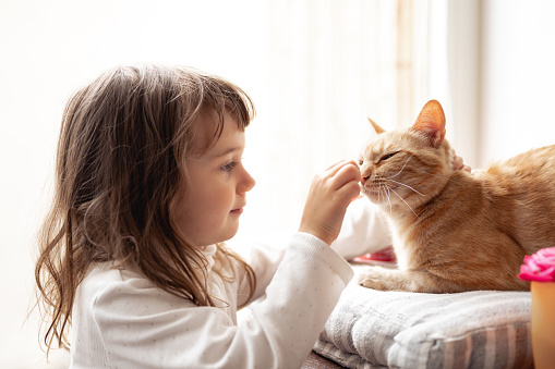 Best friends. Cat and little girl play and having fun near the window. pretty girl plays with a cat. happy smiling toddler child plays with a cat. Child and animals portrait. Happy amazing kids.