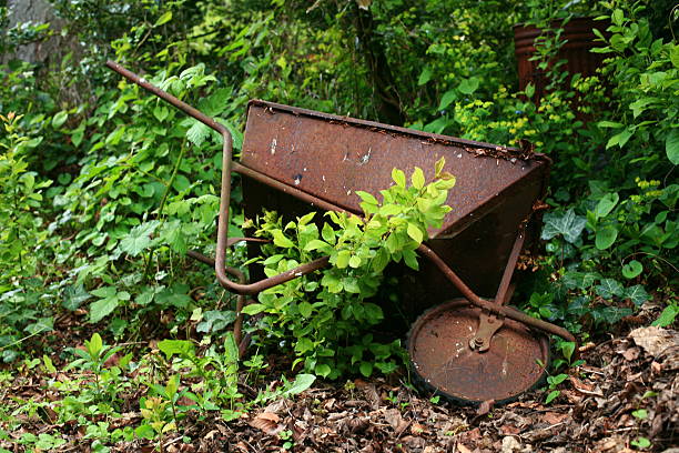 Rusty la carretilla - foto de stock