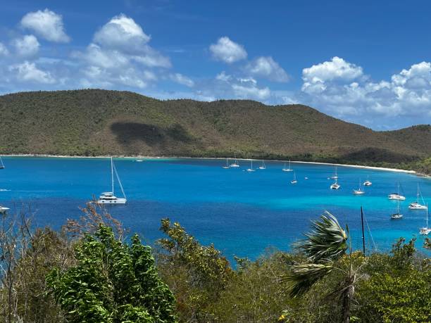 istock Beauty of St. John’s 1468174715