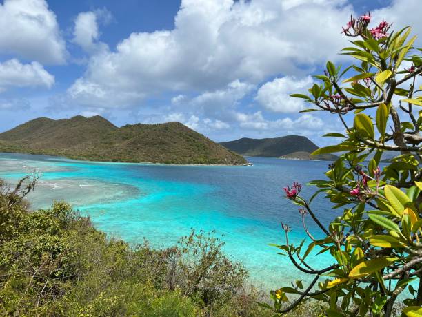 istock Beauty of St. John’s 1468174830